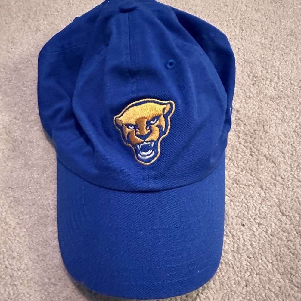 Blue Panther Embroidered Cap